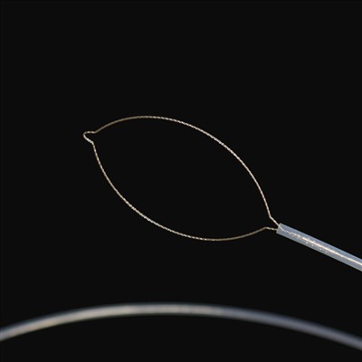 Жақ сүйегінің сыртқы дене форсаптары