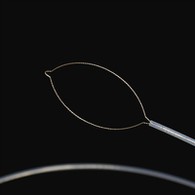 Шетелдік дененің форсаптары